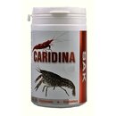 SAK Caridina excellent baby - 1000 ml