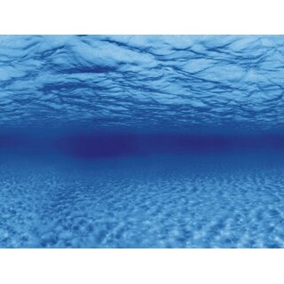 Aquarien-Hintergrund 100x50 cm