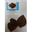 Seemandelbaumblätter 10er Pack 15-20 cm